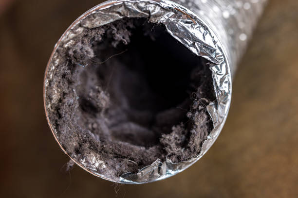 Best Air Duct Cleaning Near Me  in Shil, OH